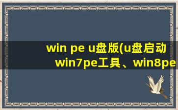 win pe u盘版(u盘启动win7pe工具、win8pe工具、win2003pe工具有什么区别)